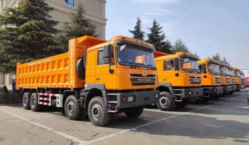 
								F3000 8×4 Dump Truck full									