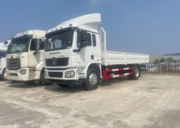 
										SHACMAN D-Long L3000 4×2 210hp Normal Cargo Truck full									