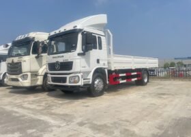 SHACMAN D-Long L3000 4×2 210hp Normal Cargo Truck