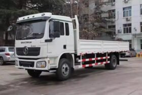 SHACMAN D-Long L3000 4×2 210hp Normal Cargo Truck
