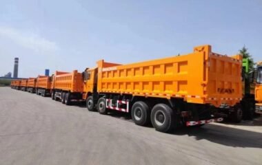 F3000 8×4 Dump Truck