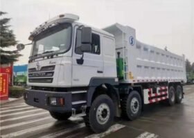 F3000 12 Wheels 8×4 400hp Tipper Truck for Guinea