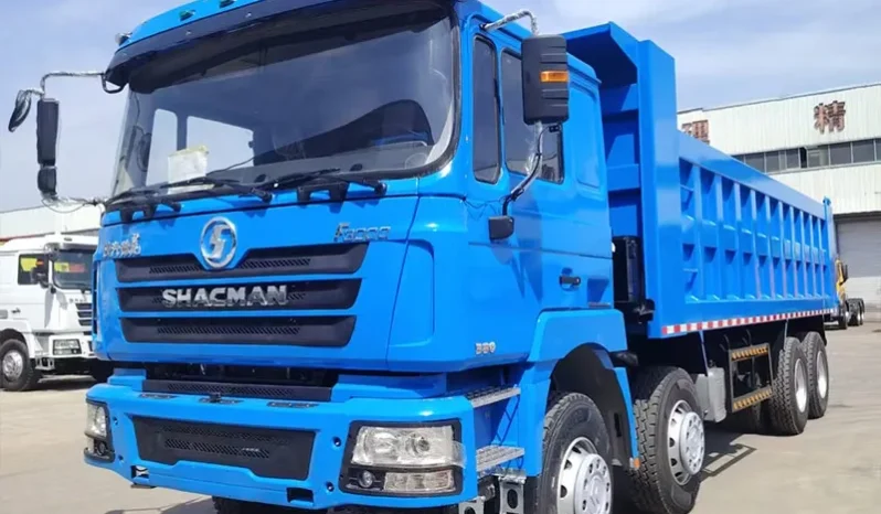 
								F3000 8×4 Tipper Truck full									