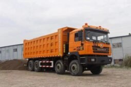 
										F3000 8×4 Dump Truck full									