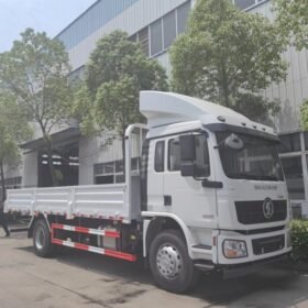 20T L3000 4X2 Small Lorry Truck 240HP