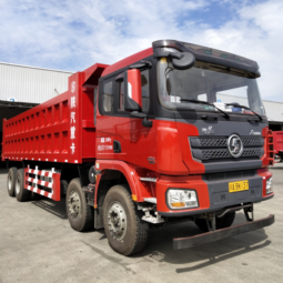 
										F3000 380HP Lorry Truck 8×4 full									