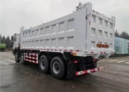 
										F3000 12 Wheels 8×4 400hp Tipper Truck for Guinea full									