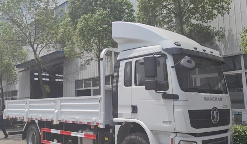 
								20T L3000 4X2 Small Lorry Truck 240HP full									